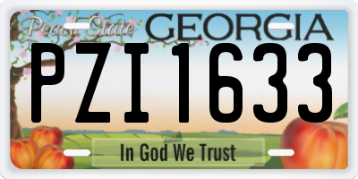 GA license plate PZI1633