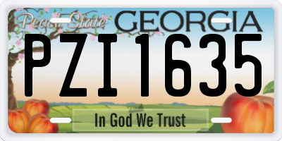 GA license plate PZI1635