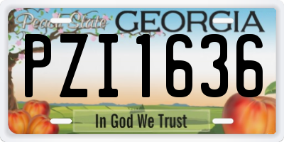 GA license plate PZI1636