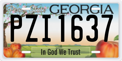 GA license plate PZI1637