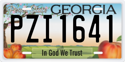 GA license plate PZI1641