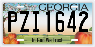 GA license plate PZI1642