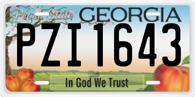 GA license plate PZI1643