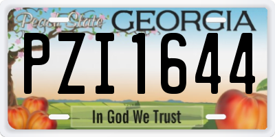 GA license plate PZI1644