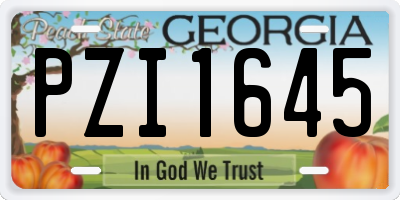 GA license plate PZI1645