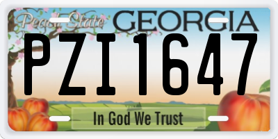 GA license plate PZI1647