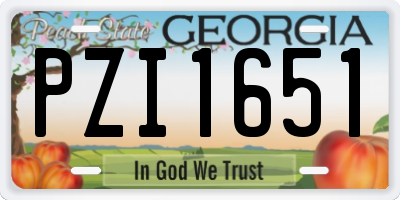 GA license plate PZI1651