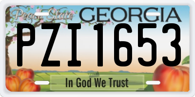 GA license plate PZI1653