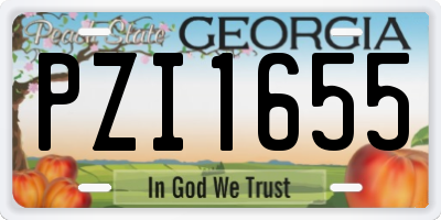GA license plate PZI1655