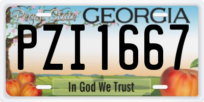 GA license plate PZI1667