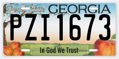 GA license plate PZI1673