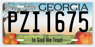 GA license plate PZI1675