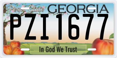 GA license plate PZI1677