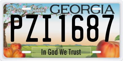 GA license plate PZI1687