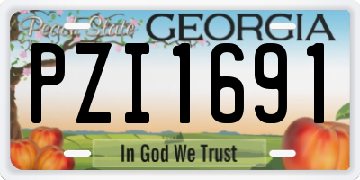 GA license plate PZI1691