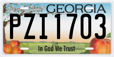 GA license plate PZI1703
