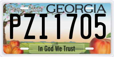 GA license plate PZI1705