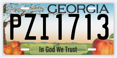 GA license plate PZI1713