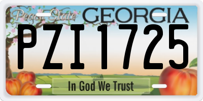 GA license plate PZI1725