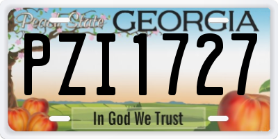 GA license plate PZI1727