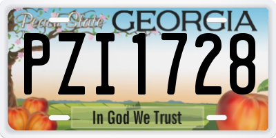 GA license plate PZI1728