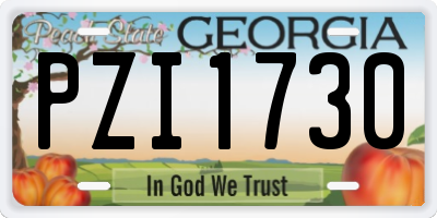 GA license plate PZI1730