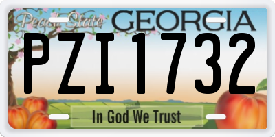GA license plate PZI1732