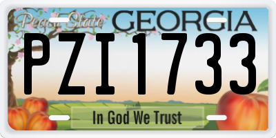 GA license plate PZI1733