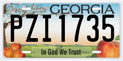 GA license plate PZI1735