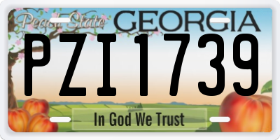 GA license plate PZI1739