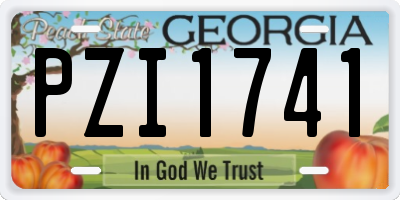 GA license plate PZI1741