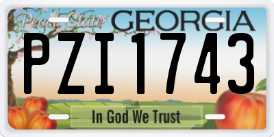 GA license plate PZI1743