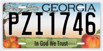 GA license plate PZI1746