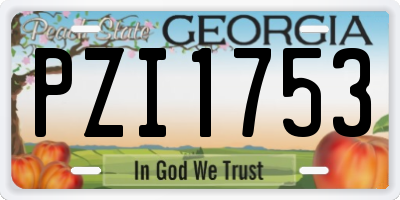 GA license plate PZI1753