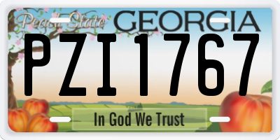 GA license plate PZI1767