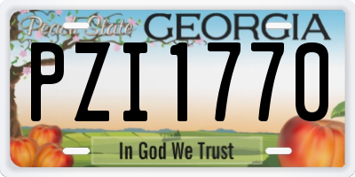 GA license plate PZI1770
