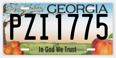 GA license plate PZI1775