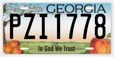 GA license plate PZI1778
