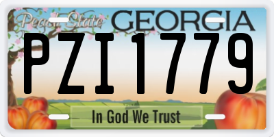 GA license plate PZI1779