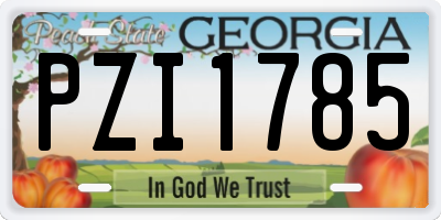 GA license plate PZI1785