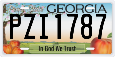 GA license plate PZI1787