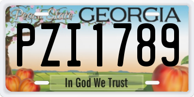 GA license plate PZI1789