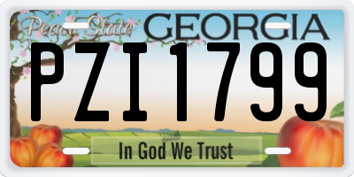 GA license plate PZI1799
