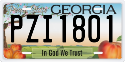 GA license plate PZI1801