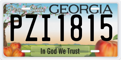 GA license plate PZI1815