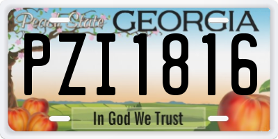 GA license plate PZI1816
