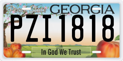 GA license plate PZI1818