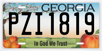 GA license plate PZI1819