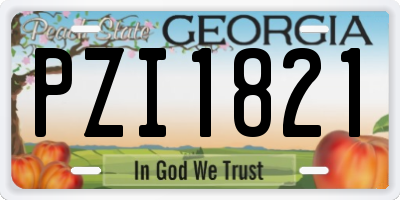 GA license plate PZI1821