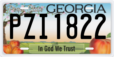 GA license plate PZI1822